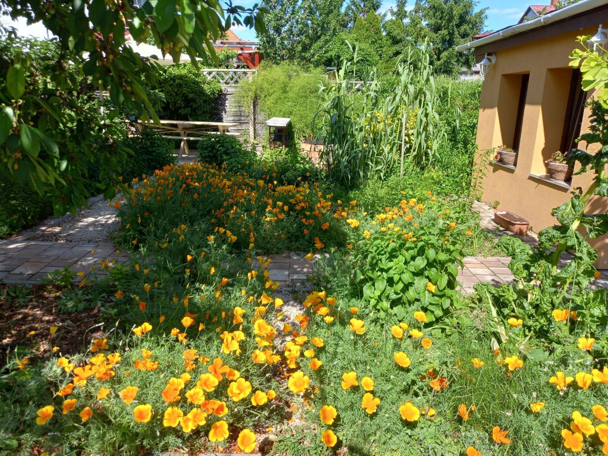 Jazmin-Szieszta Apartmanhaz Balatonfuered Εξωτερικό φωτογραφία